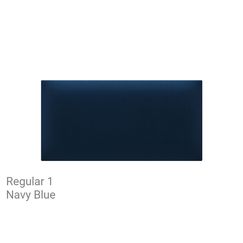 REG1 Navy Blue.png