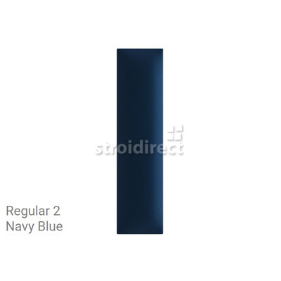 REG2 Navy Blue.png