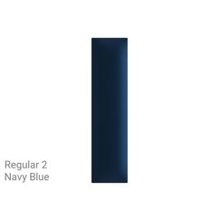 REG2 Navy Blue.png