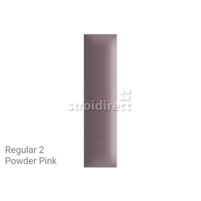 REG2 Powder Pink.png