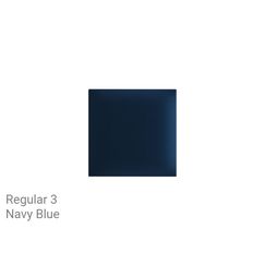 REG3 Navy Blue.png